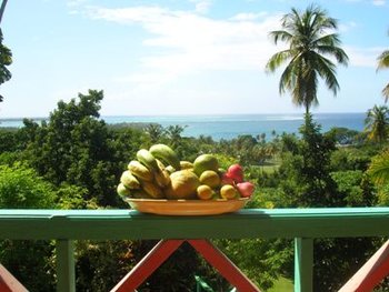 View from the dining area