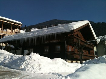 Ski holiday apartment in Viehhofen