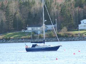 Come and enjoy sailing