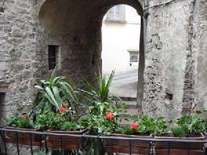 view into the street