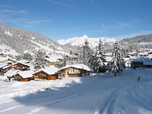 Ski slope to village + lifts