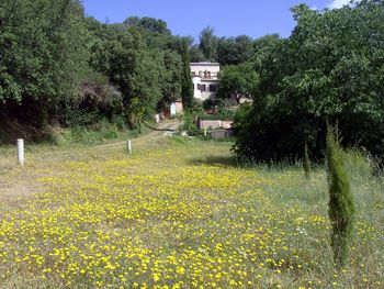 View from entrance