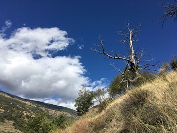 Hiking in the valley