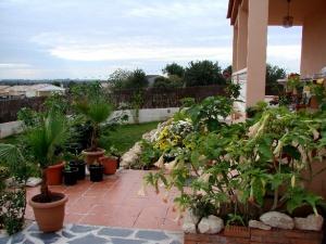 Front garden and terrace