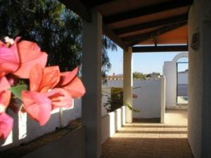 1 LB Viewsto the sea