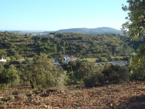 Looking above cdt south