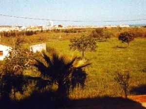 Bedroom view