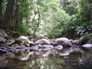 a few minutes up river...