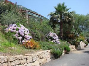 ANOTHER VIEW OF THE GARDEN