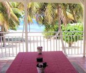 seaview from the upper terrace