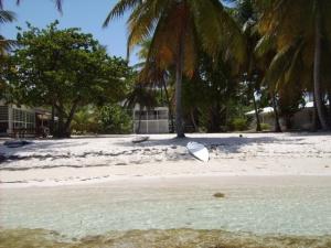 from the sea to the house