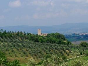 Tuscan hill