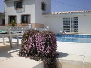 Lots of room to relax