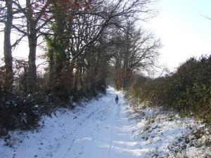 Snow in the Charente