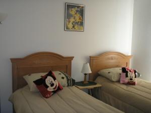 twin disney themed room