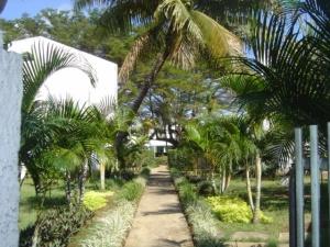 outside-view