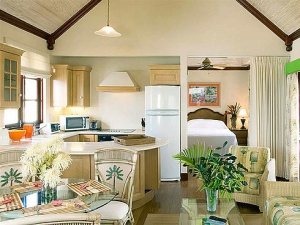 Annex 1-bedroom Penthouse apt