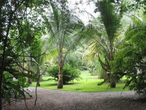 Grounds