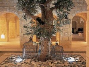 Health and spa in the village
