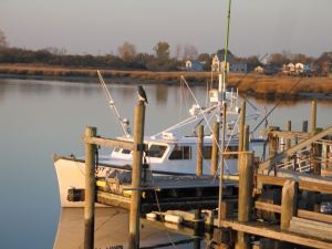 view from deck