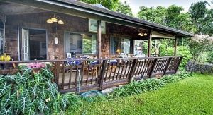 Breakfast Lanai, Bird Watching