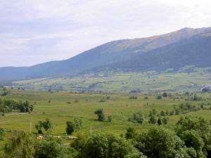 North-view-from-chalet