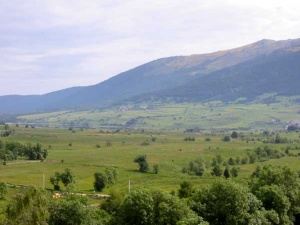 North-view-from-chalet