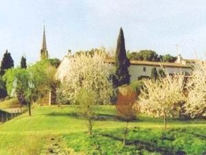 Our large lawn and orchard