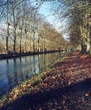 Canal back of our house