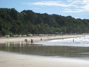 Local beaches