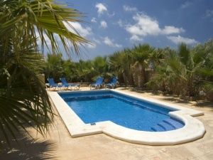 Pool is surrounded by palms