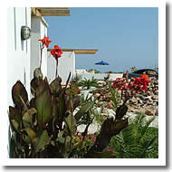 Gardens around the villa