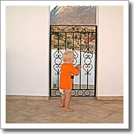 Pools and steps have gate