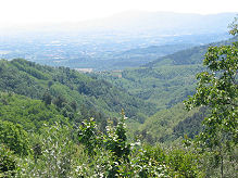 View from the swimming pool