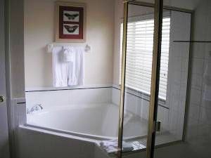 Corner tub and shower