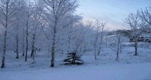 Winter here is wonderful