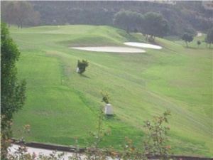 View from communal gardens