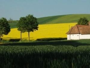 Perfect holiday setting