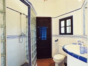 Modern walk-in showerroom