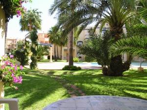 View from Terrace to pool.