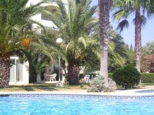 Terrace from the Pool.