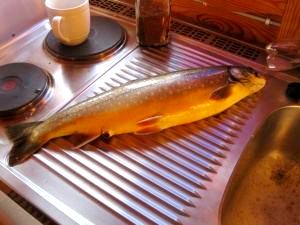 Fishing is so good here..