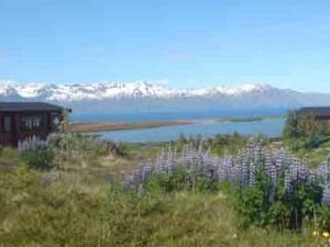 Perfect holiday location