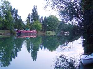 View from the garden