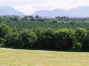 Views from our grounds