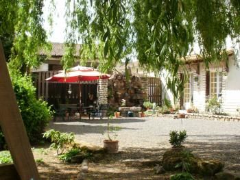 Garden and patio