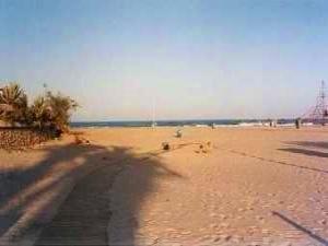 You willl enjoy the beaches