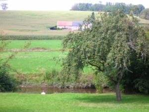 River at the bottom of gardens