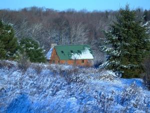 Back of the cabin