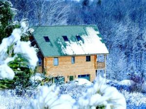 Cabin in winter